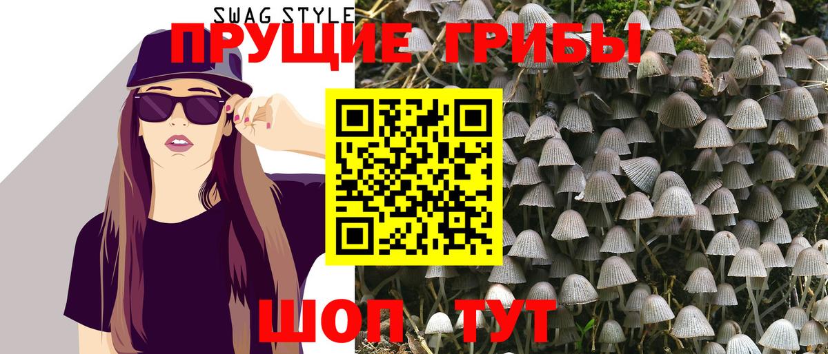 Салават  Галлюциногенные грибы GOLDEN TEACHER  Вход с VPN 