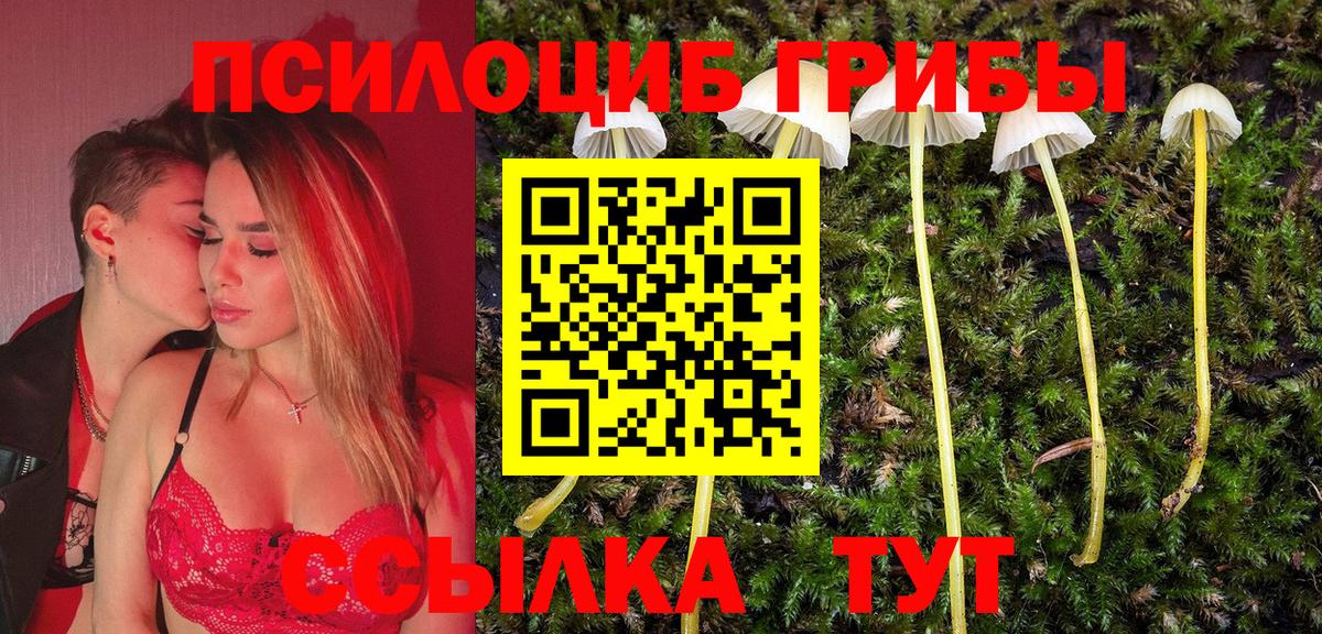 Псилоцибиновые грибы Psilocybe Салават